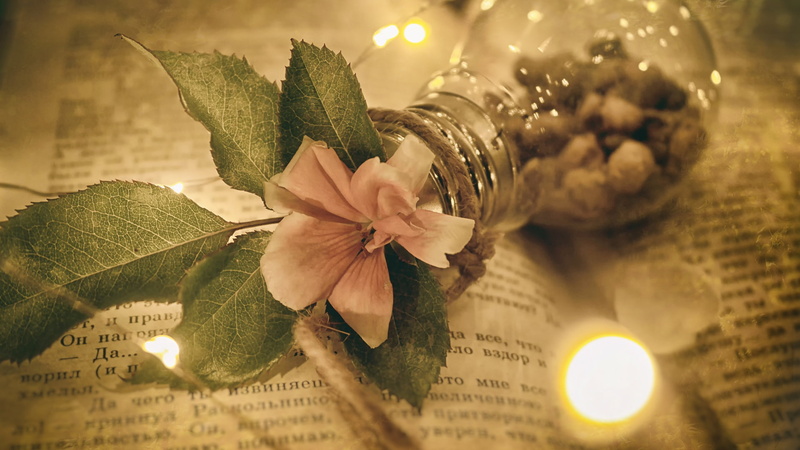 still life, 1080P, grunge, flowers, macro, closeup, decoration, light bulb, books, moody