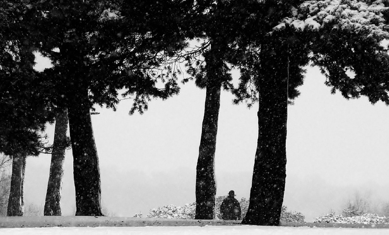 loneliness, grass, tree, young, woman, tree trunk, lone, sky, landscape, field, 2K, black, body, forest, day, outdoors, trunk, plant, beach, natural, environment