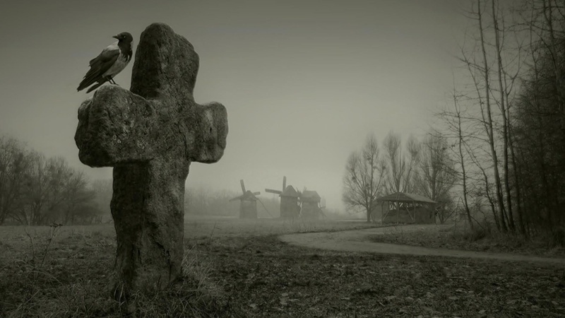 scary, photography, sadness, nature, no people, grass, death, art and craft, crow, hoodie, field, 1080P, environment, fog, tombstone, hooded crow, tree