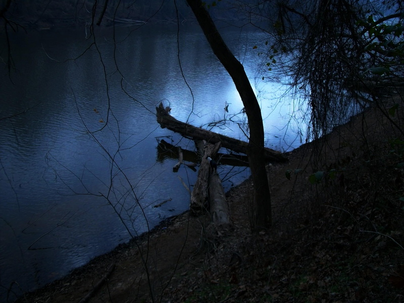 light, brown, night, trunk, 1080P, nature, 3d and abstract, wood, river, reflecting, moon, water