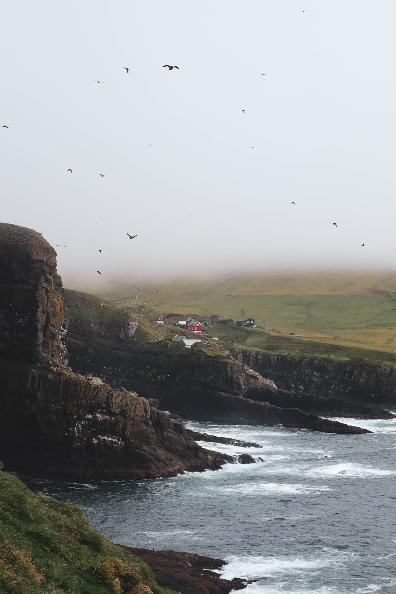 sky, no people, flight, sea, scenics - nature, group of animals, green, day, fog, landscape, body, non-urban scene, grey, faroe islands, tranquility, tranquil scene