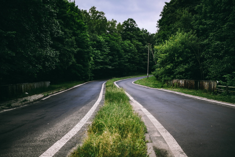 road, tranquility, plant, marking, sightseeing, sign, leaves, nature, tree, direction, scenics, road marking, dividing line, woodlands, grass, growth, green