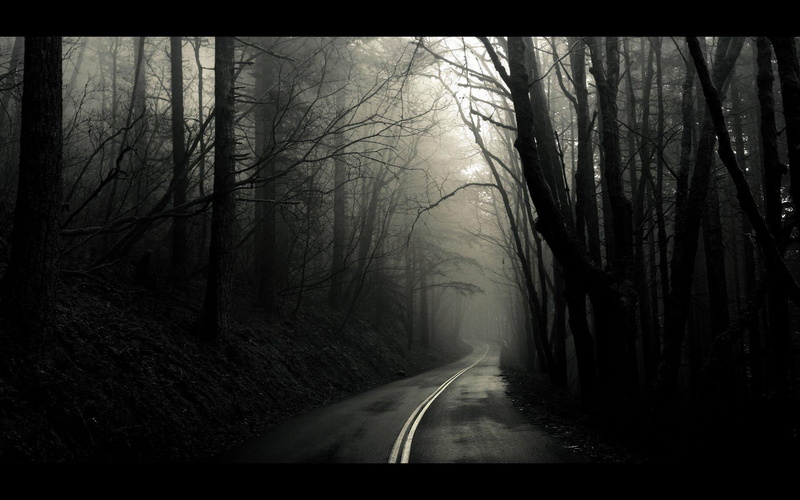 nice, photography, awesome, road, 1080P, cool, long, white, nature, black, dark, 3d and abstract, photo