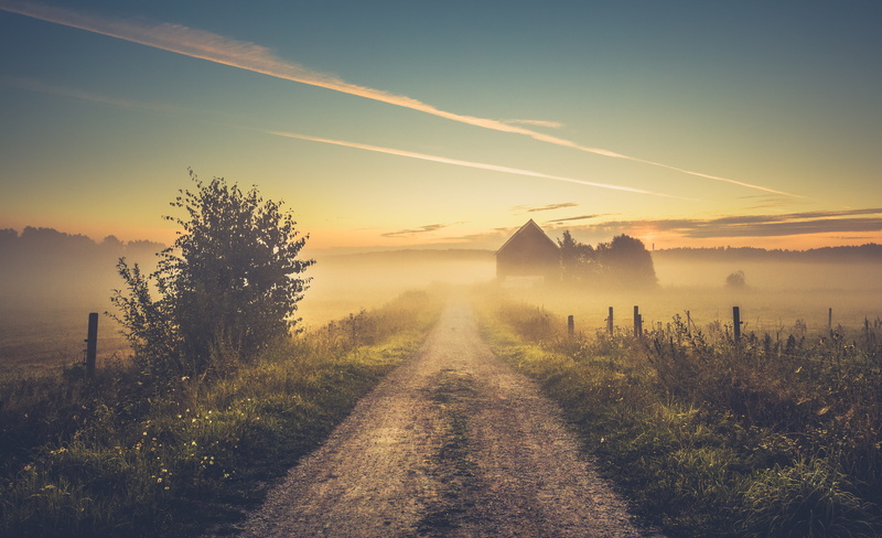 landscape, house, road, sunlight, tree, photo, tranquil scene, silhouette, outdoors, sky, the way forward, beauty in nature, near, barn, sunset, tranquility