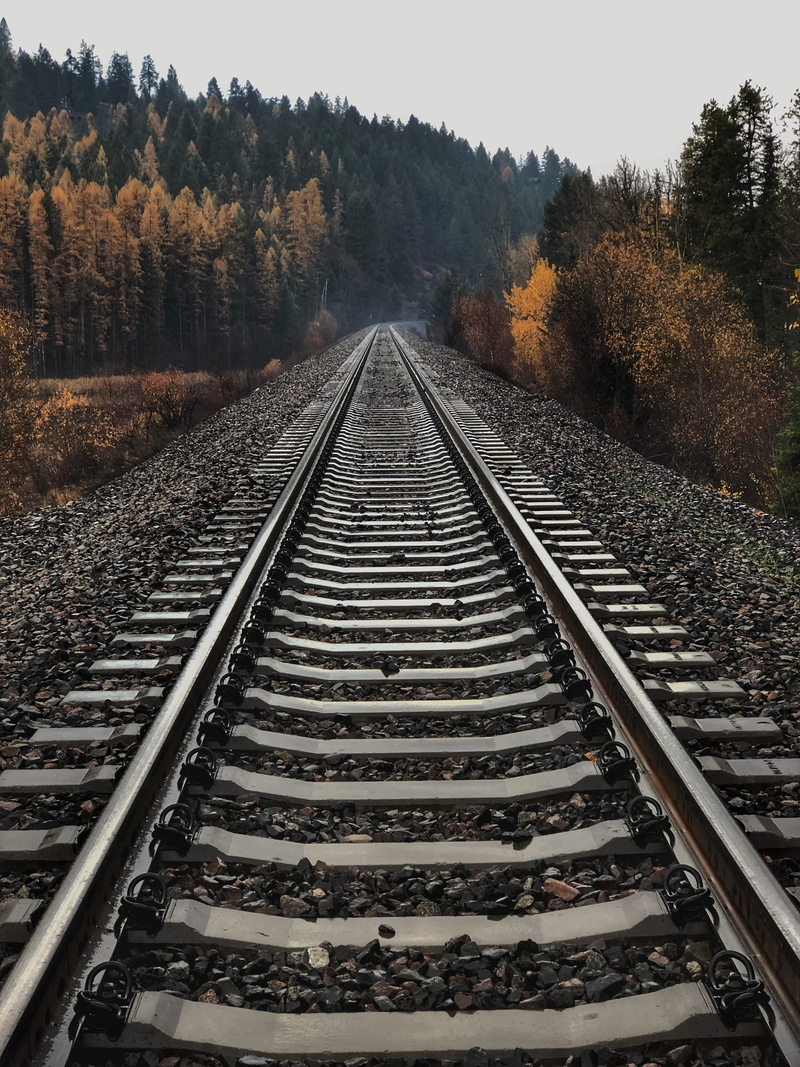 parallel, direction, long, metal, beauty in nature, iphone, 4K, change, railroad track, nature, tree, scenics - nature, track, tall, non-urban scene, diminishing perspective