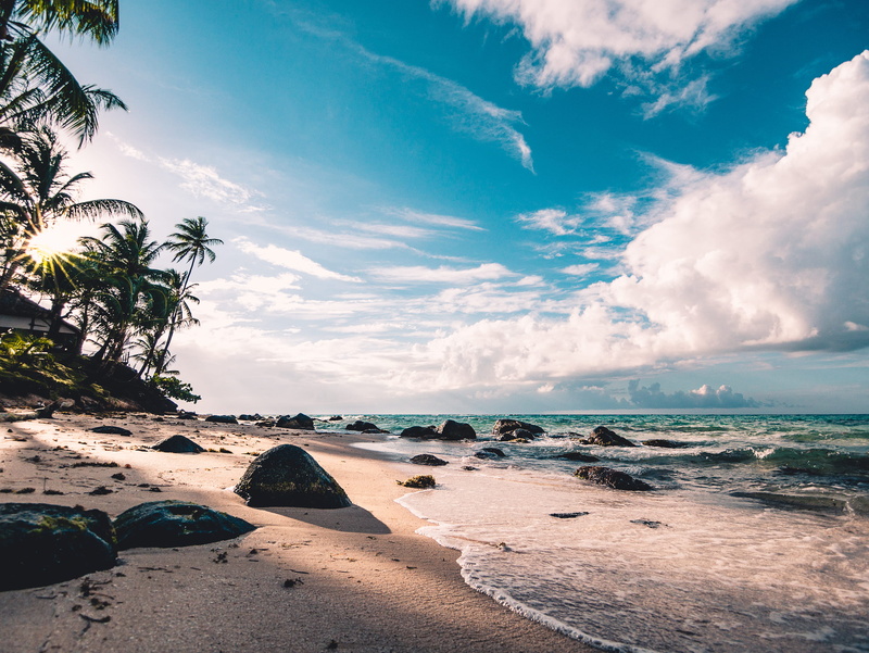 tree, 2K, seascape, nature, tranquility, clouds, daytime, tranquil scene, palm tree, seashore, scenery, cloud - sky, coconut palm tree, resort, rock - object