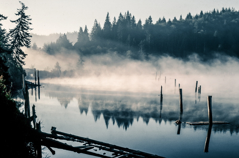 boat, water, no people, Lake, plant, pier, wooden post, Sail, dawn, Wood, outdoors, tranquil scene, mysterious, day, forest, Mist, poles, scenics - nature
