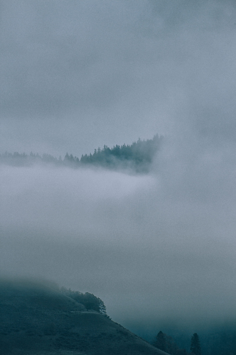 weather, foggy, water, environment, united states, fog, tranquil scene, hazy, mountain, forest, cloud - sky, eery, hillside, day, remote, tranquility, covering