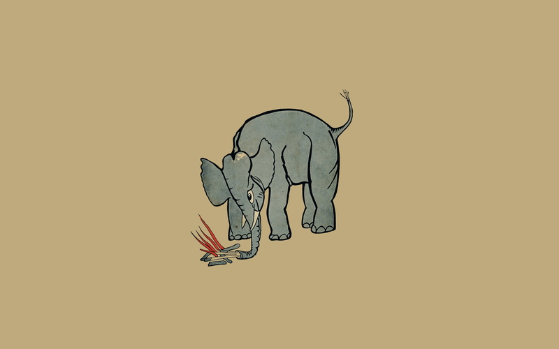 Album Covers, Campfire, elephant, minimalism, 2K, music, Mount Eerie (Band)