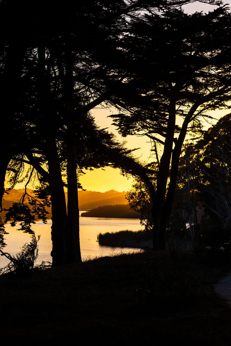 sunset, sunlight, 5K, land, scenics - nature, lake, tranquil scene, warm, trunk, outdoors, lake merced, no people, plant, tranquility, san francisco, phone