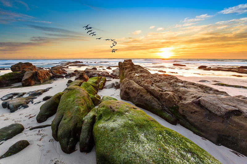outdoors, rock, Landscape, daytime, Pelicans, Week, Sunset, near, beach, LEE filters, Paw prints, San Diego, La Jolla, best shot, Pacific Ocean, Moss, Coastal