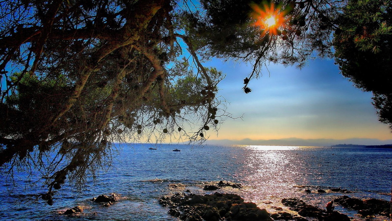 land, tranquil scene, outdoors, beach, blue sea, tranquility, sky, coast, nature, body of water, tree, non-urban scene, beauty in nature, no people, sun