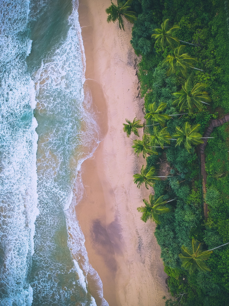 surf, palm, travel Destinations, nature, ocean, green Color, bird, dji, vacations, exotic, beach, photograph, landscape, seascape, 2K, travel, tourism