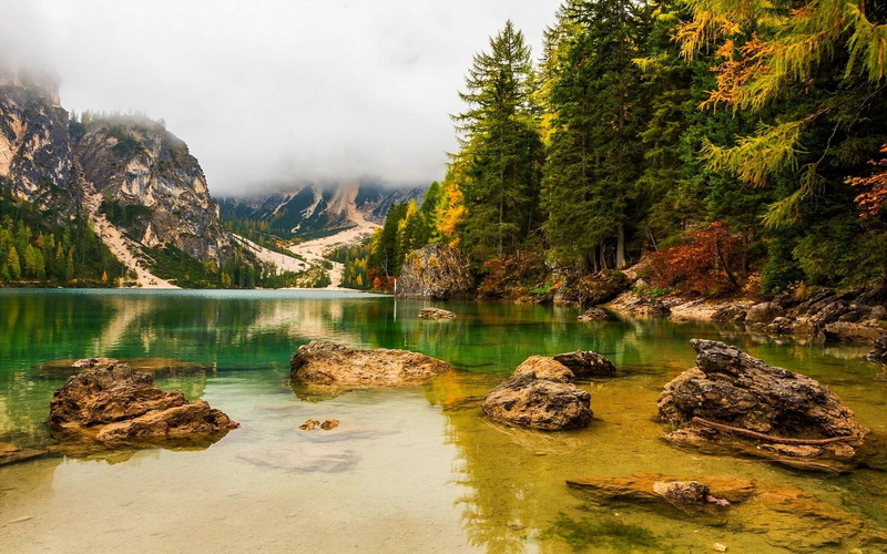 mountain, coniferous tree, scenics - nature, water, mountains, Alps, rock, fall, forest, outdoors, tree, lake, beauty in nature, idyllic, landscape, overcast