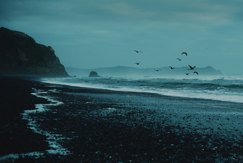 landscape, blue, sea, birds, coast, nature, overcast, waves, 1080P