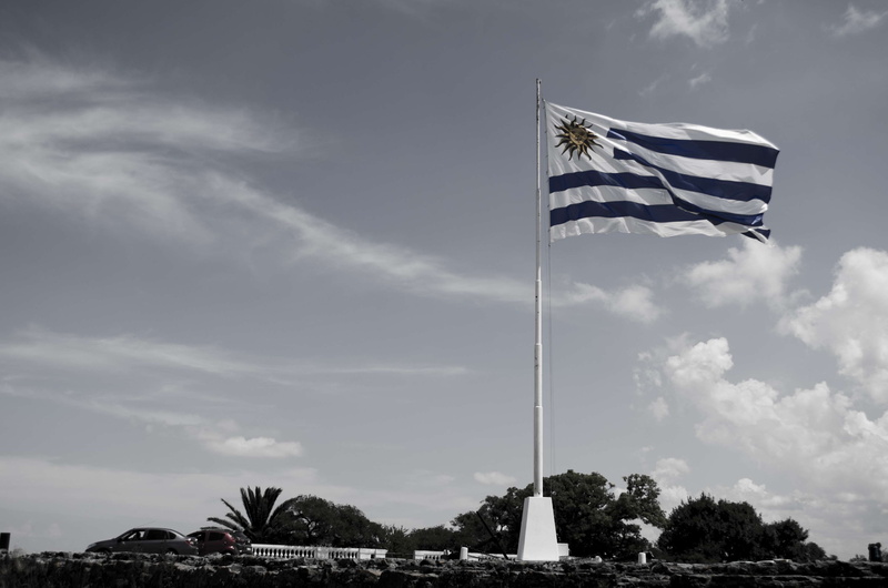 patriotism, sky, flag, tree, flag pole, uruguay, america, no people, day, pride, environment, emotion, nature, clouds, waving, plant, national icon, 4K