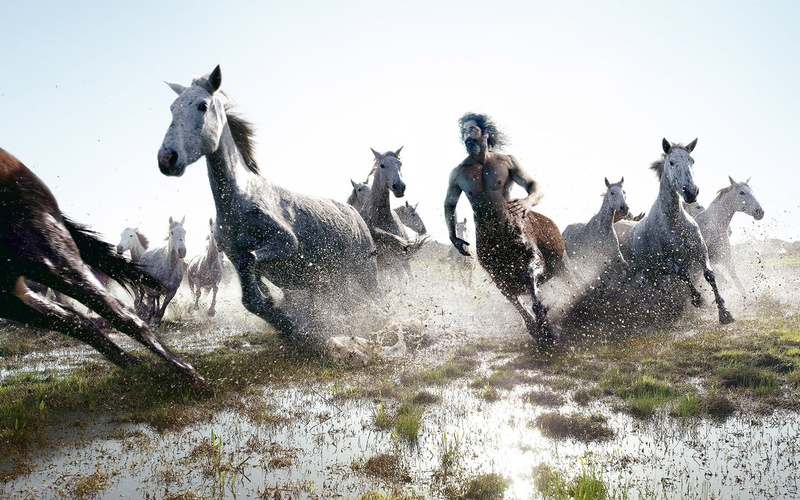 horses, Running, 1080P, Centaur