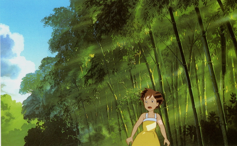 totoro, trees, 1080P, neighbour