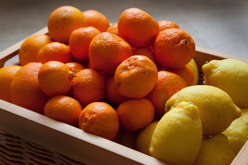 orange - Fruit, food, orange and lemon, citrus Fruit, fruit, 5K, Project 365, neighbours, freshness, oranges  lemons, Day, Packed, orange, organic, clementines