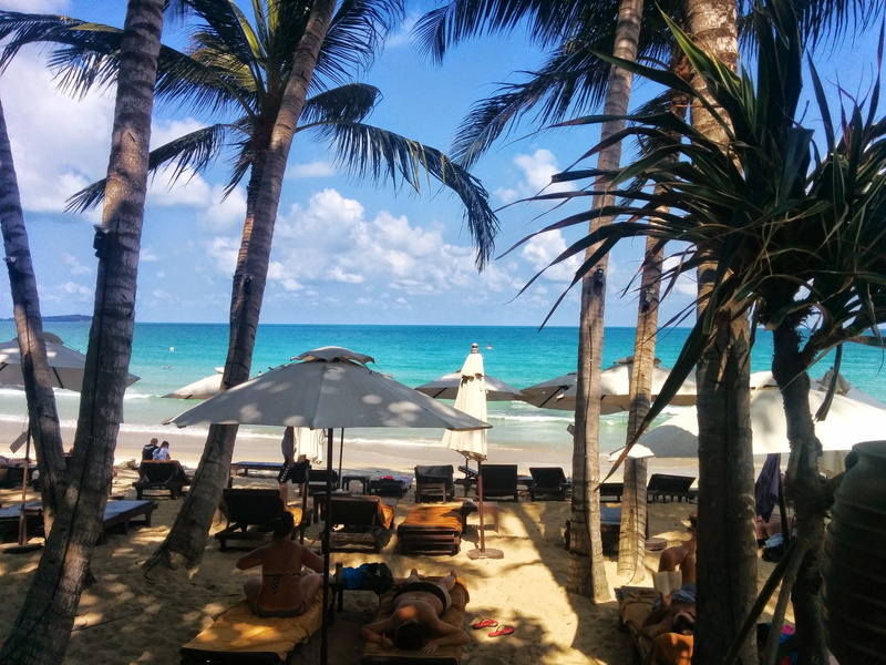 tropical climate, coconut palm tree, outdoors, koh samui, sea, beauty in nature, sunlight, land, water, horizon over water, sky, tree, palm trees, plant