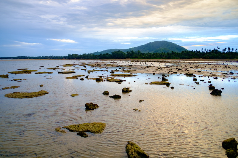 cloud - sky, animal, water, environment, asia, scenics - nature, tranquility, non-urban scene, thailand, rock - object, no people, ko samui, three, nature