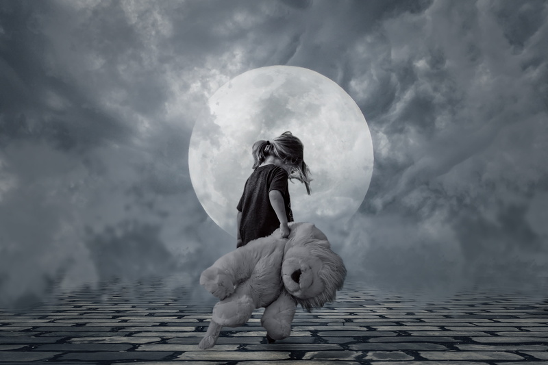 motion, not tired, people, nature, good night, outdoors, adult, standing, moonlight, girl, sky, composing, photo montage, plush, full moon, real people