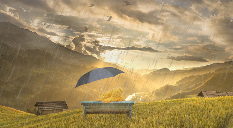 satisfaction, nature, symbol, sweet, land, landscape, teddy bears, bank, terraces, sun, rice, hoang suphi, bench, sitting, love, happy, village