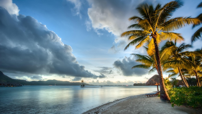 scenics - nature, sea, beauty in nature, palms, sky, nature, bora bora, beach, water, palm tree, bay, tranquil scene, 4K, tree, ocean, cloud - sky, tranquility