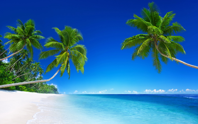 Beach, 5K, Sunny, 5K, Beautiful, Tropical