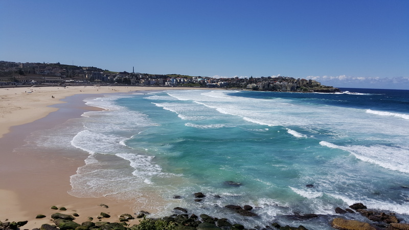 surfing, vacation, coast, sun, people, sydney, bay, 5K, sport, seaside, daytime, beach, sea, coastline, water, blue, sky, seashore, coastal, environment