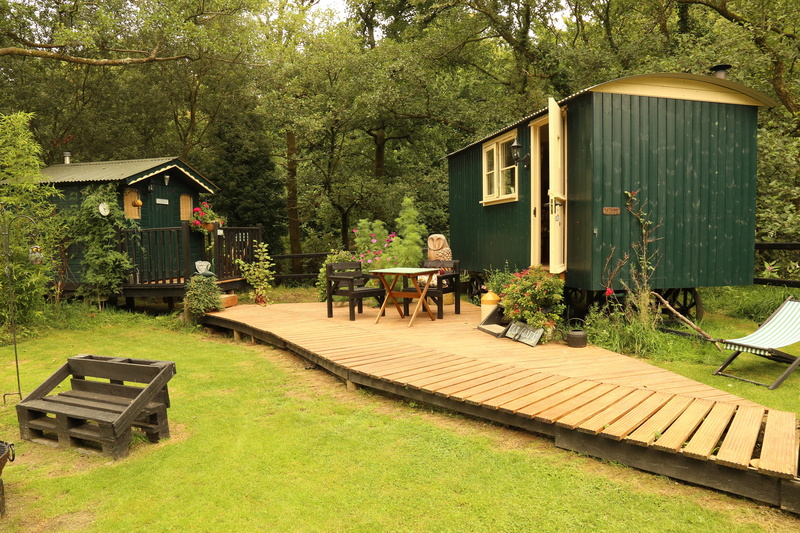 real people, pembrokeshire, people, tree, bench, building exterior, built structure, seat, group of people, shepherds hut, men, nature, adult, outdoors
