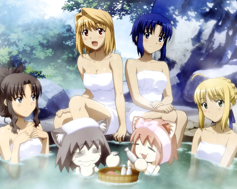 neko chaos, onsen, carnival, shingetsutan, neko arc, towel, hirose, fate, ciel, tomohito, rin, arcueid, tsukihime, 1080P, saber, night, tohsaka, phantasm