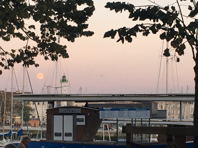 bateaux, nature, voilier, plant, moon, growth, mode of transportation, port, tree, coucher de soleil, lune, sailboat, france, water, boat, la france, branch