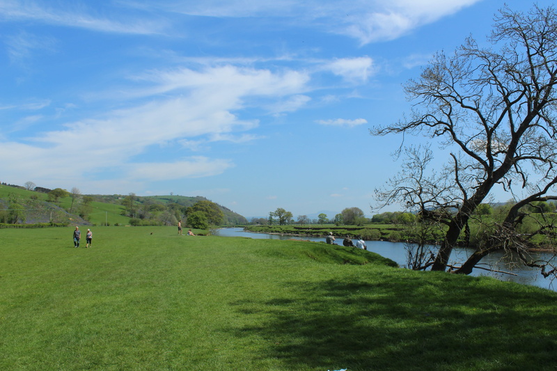 nature, field, non-urban scene, peaceful, land, lancashire, tree, green color, grass, landscape, travel, river, countryside, water, outdoors, 5K, environment