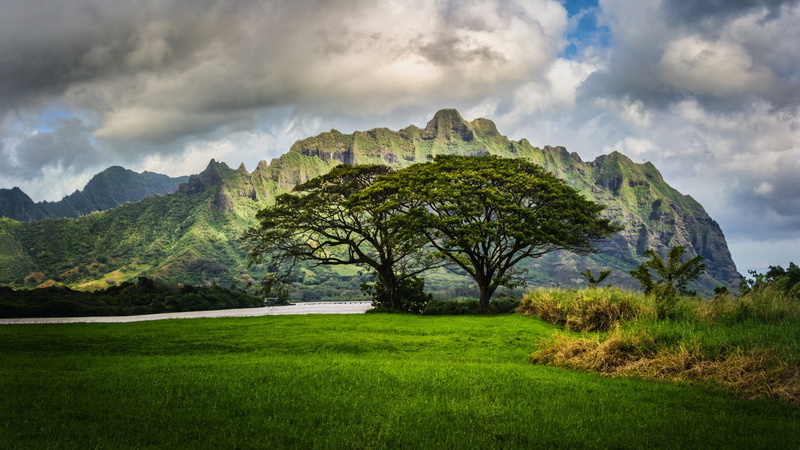 tranquil scene, tall, scenics - nature, non-urban scene, 1080P, no people, mountain, two, beauty in nature, grass, tree, nature, day, sky, mountain peak