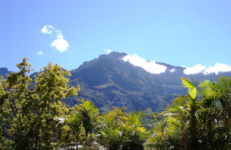 tranquil scene, Blue Sky, plant, beauty in nature, trees, sky, summit, mountain peak, Mountain, mountain range, Crown, landscape, front, growth, tree, scenics - nature