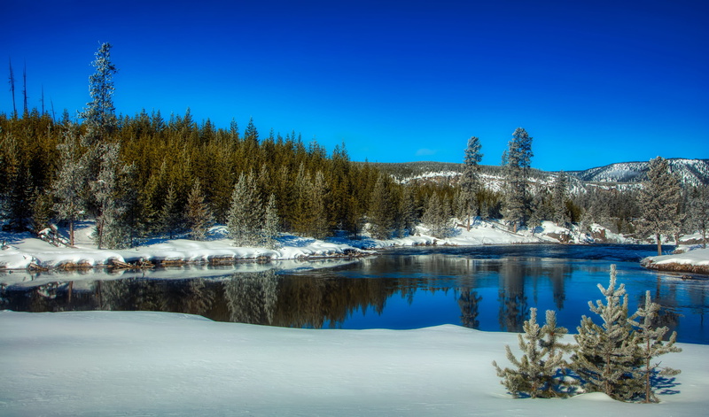snow, 4K, forest, scenics - nature, mountains, river, woods, tranquil scene, countryside, wilderness, yellowstone national park, woodland, sky, beauty in nature