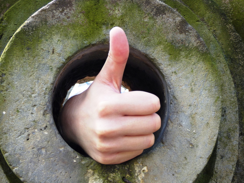 body part, 4K, human finger, facebook, gesturing, geometric shape, human hand, ok, one person, day, circle, as, right, s, hole, hand, showing, thumb, plant