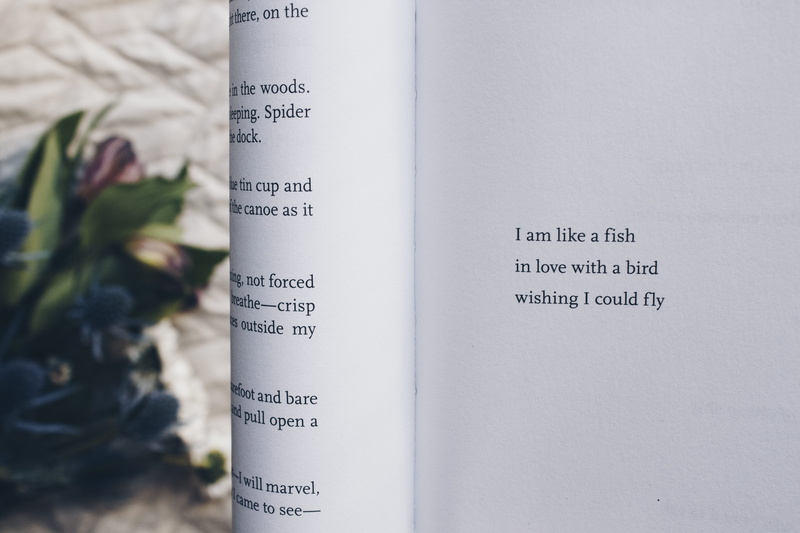poem, text, communication, no people, accuracy, instrument of measurement, close-up, science, like, page, 5K, black, paper, growth, thermometer, bed, flower