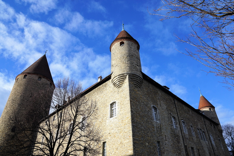 bull, wood, landscape, art, castle, built structure, church, travel destinations, brick, religion, europe, noble, defense, narrative, nature, day, low angle view