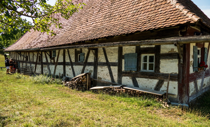 grass, sunlight, house, residential district, history, bad windsheim, roof, land, growth, culture, outdoors, old, historically, 5K, open air museum, plant
