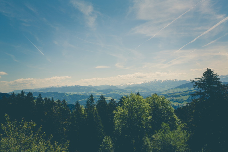 contrails, green, leafed, plant, beauty in nature, nature, idyllic, outdoors, scenics - nature, day, green color, forest, tree, tranquil scene, mountain