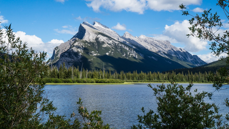 idyllic, nature, tree, tranquil, beauty in nature, trees, mountain, plant, cold temperature, formation, tranquil scene, snow, banff, canadian, no people