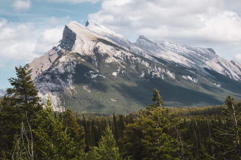 wilderness, tourism, tree, daylight, nature photography, mountain, cloud - Sky, nature, shadow, 5K, rock - Object, alberta, green, mountain Peak, forest