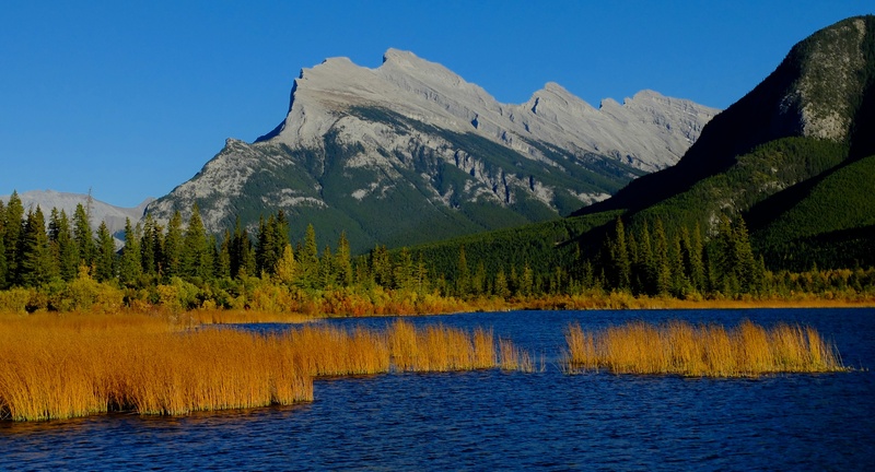 non-urban scene, beauty In Nature, blue, wilderness, banff national park, autumn, scene, waterfront, idyllic, body, 2K, tree, mountain peak, day, rundle