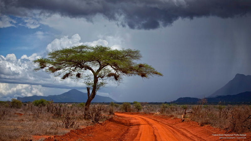 park, Africa, east, 2K, tsavo, national, kenya
