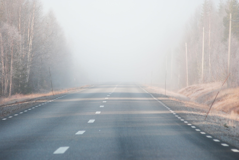 early morning, landscape, frost, country road, sign, outdoors, morning, mist, road marking, 4K, direction, day, marking, transportation, plant, symbol