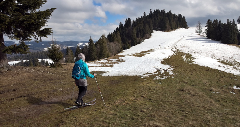 cross-country, casual clothing, 4K, skiing, wandering, outdoors, hiking, land, plant, real people, lifestyles, skis, winter, issues, day, beskids, spring