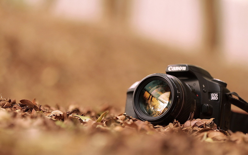 canon, professional, photo, d, camera, 1080P, eos