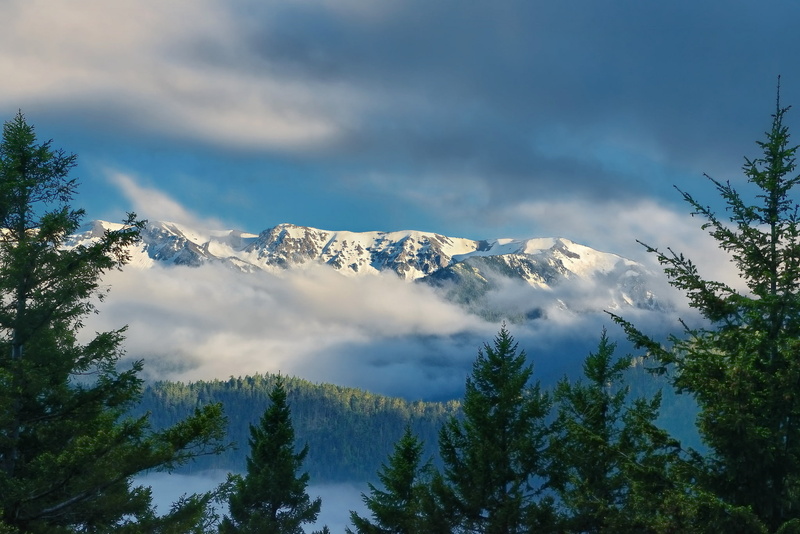 mountains, 1080P, Olympic National Park, Olympic Mountains, clouds, Hurricane Ridge, ridge Olympic, ate, Washington